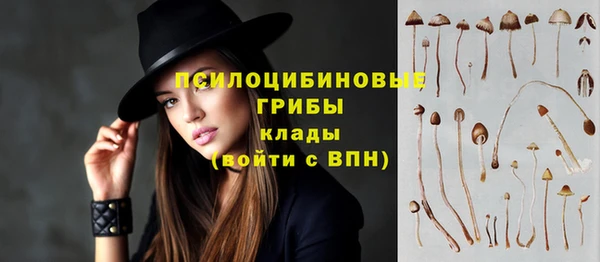 прущая мука Горнозаводск