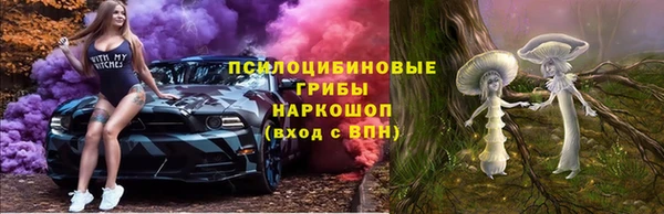 бутират Горняк